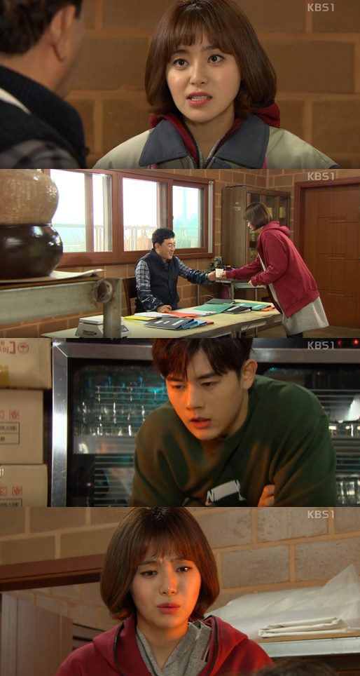 사랑이 꽃핀다 포스터