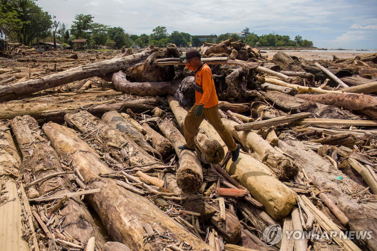 숲 파괴 포스터